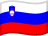 Slovenia flag