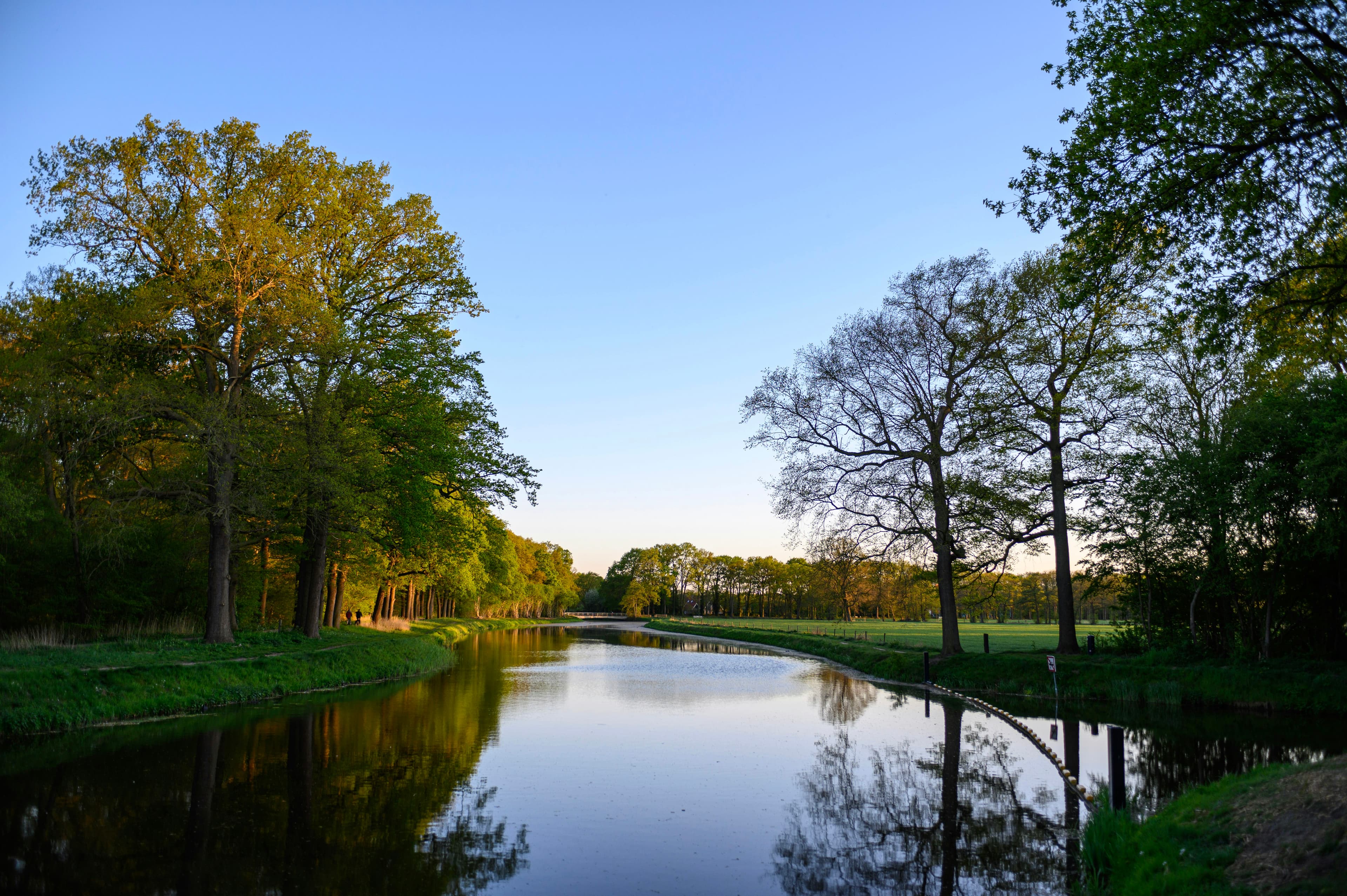 De Biesbosch National Park, Dordrecht, Netherlands