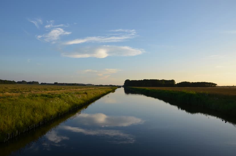 Tranquil Nature Reserves and Birdwatching Paradise at Lauwersmeer National Park