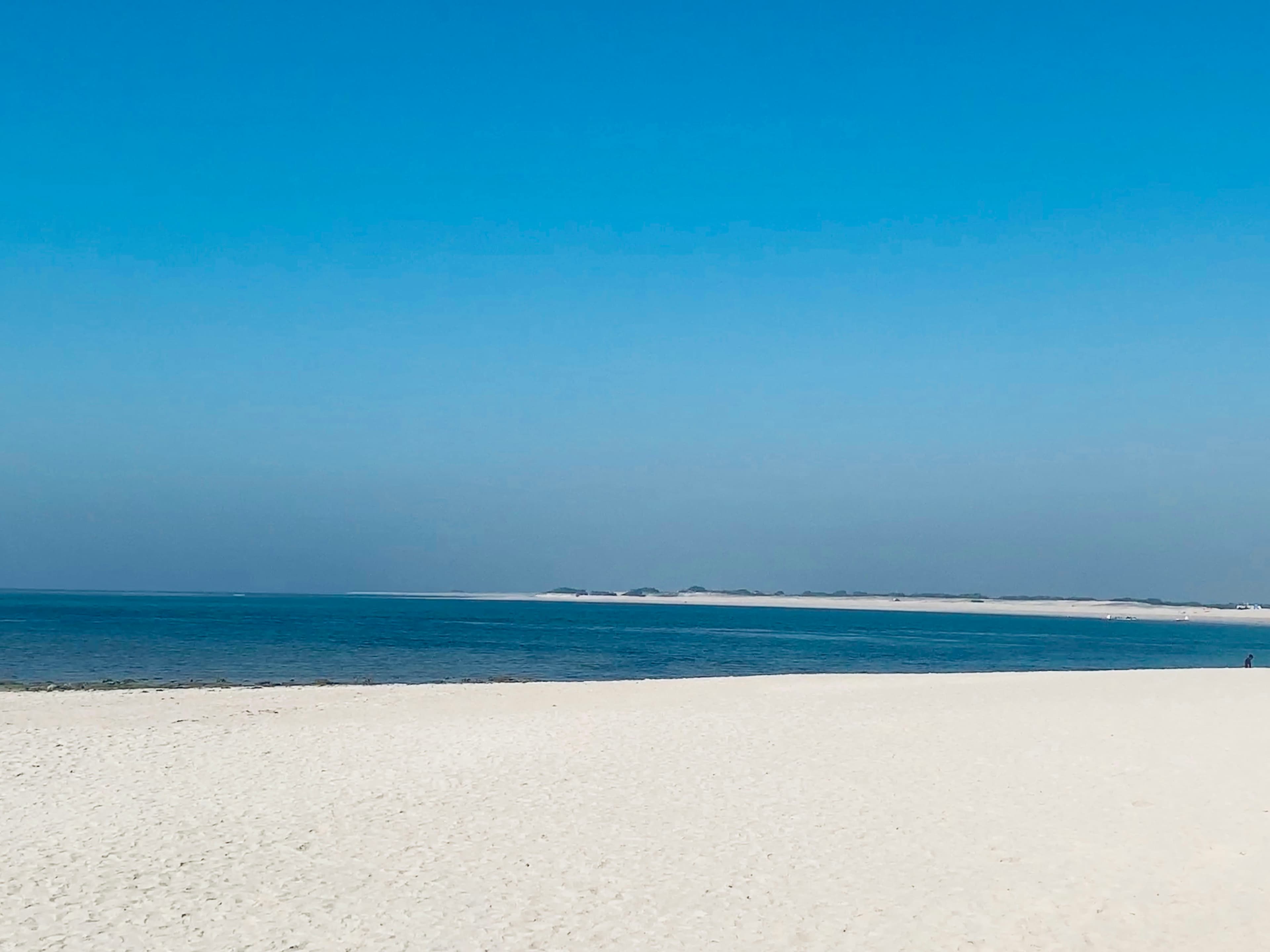 Scenic Coastal Walks and Dog-Friendly Beaches at Zandvoort aan Zee: A Perfect Blend of Nature, History, and Pet-Friendly Fun