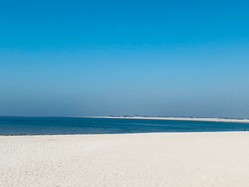 Scenic Coastal Walks and Dog-Friendly Beaches at Zandvoort aan Zee: A Perfect Blend of Nature, History, and Pet-Friendly Fun