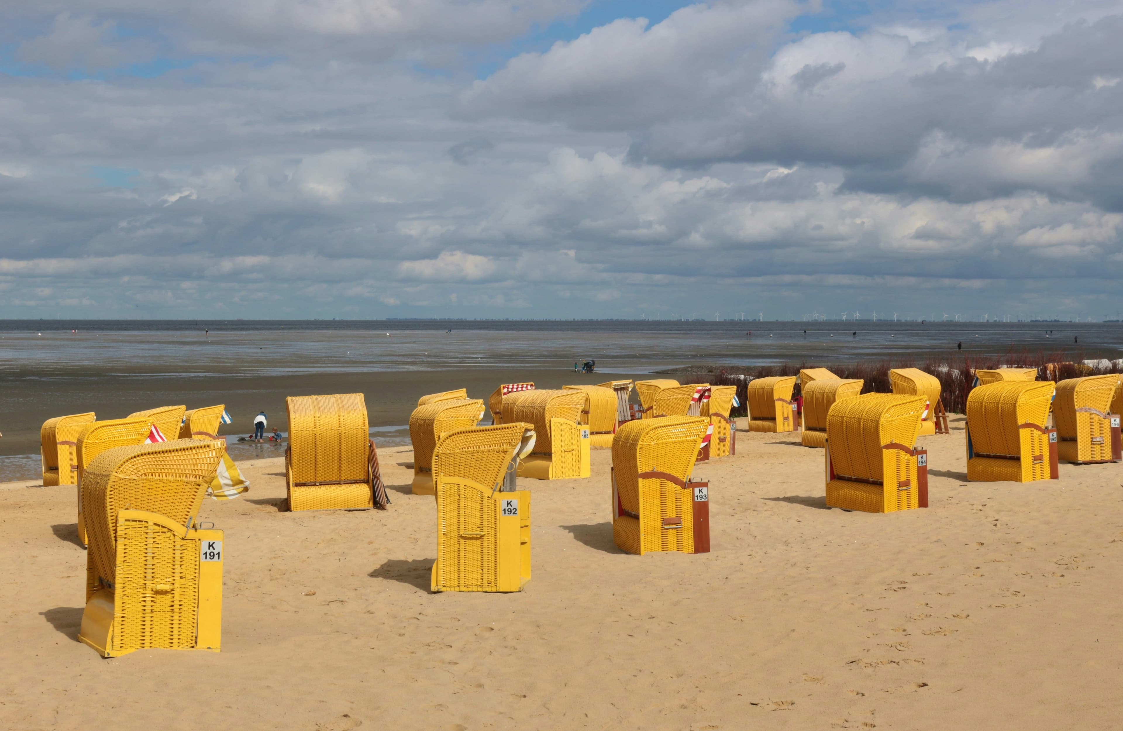 Serene Nature Trails and Dog-Friendly Shores at Oostvoorne Beach Park