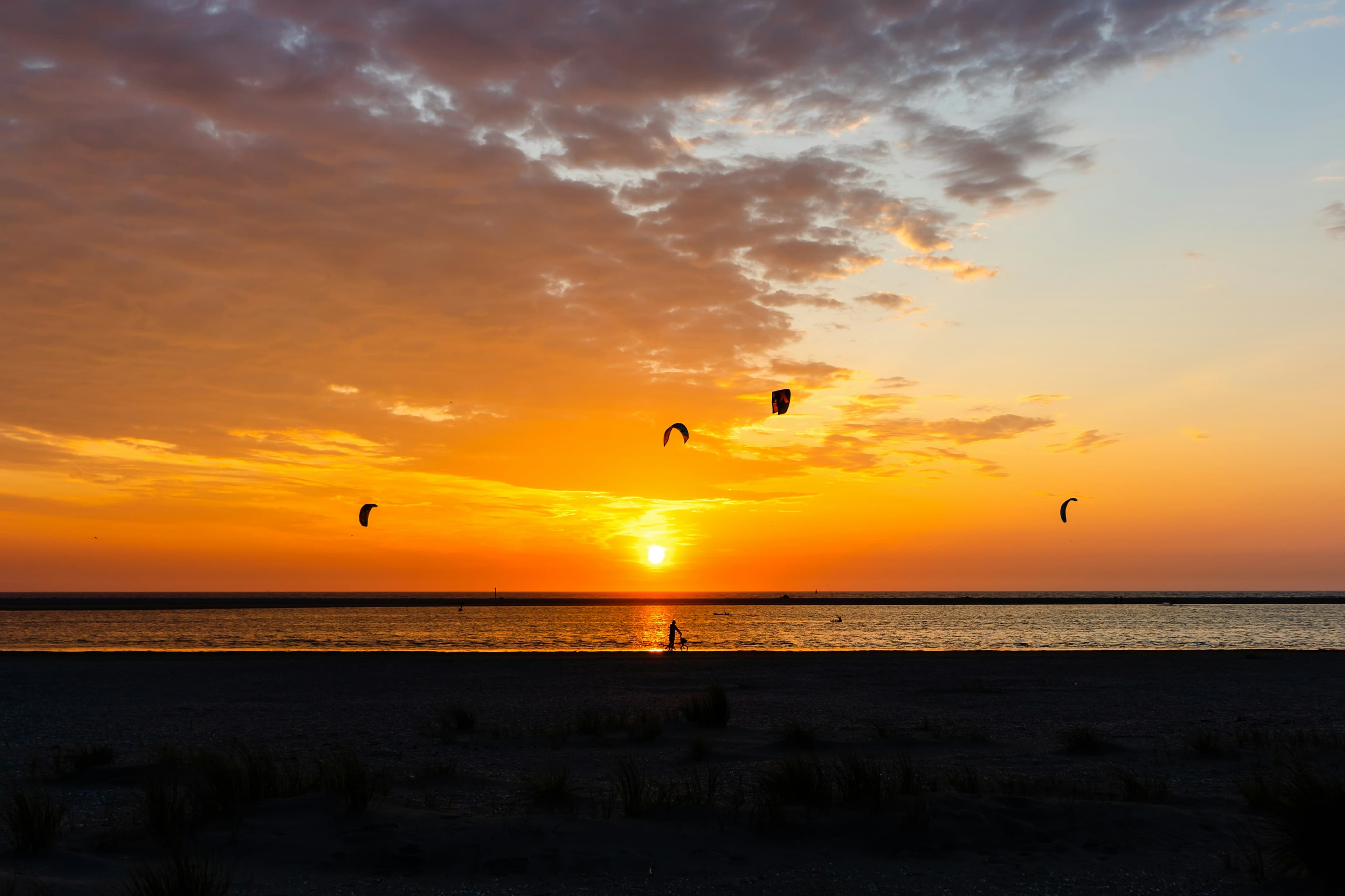 Scenic Coastal Walks and Dog-Friendly Beaches at Kijkduin Beach near The Hague