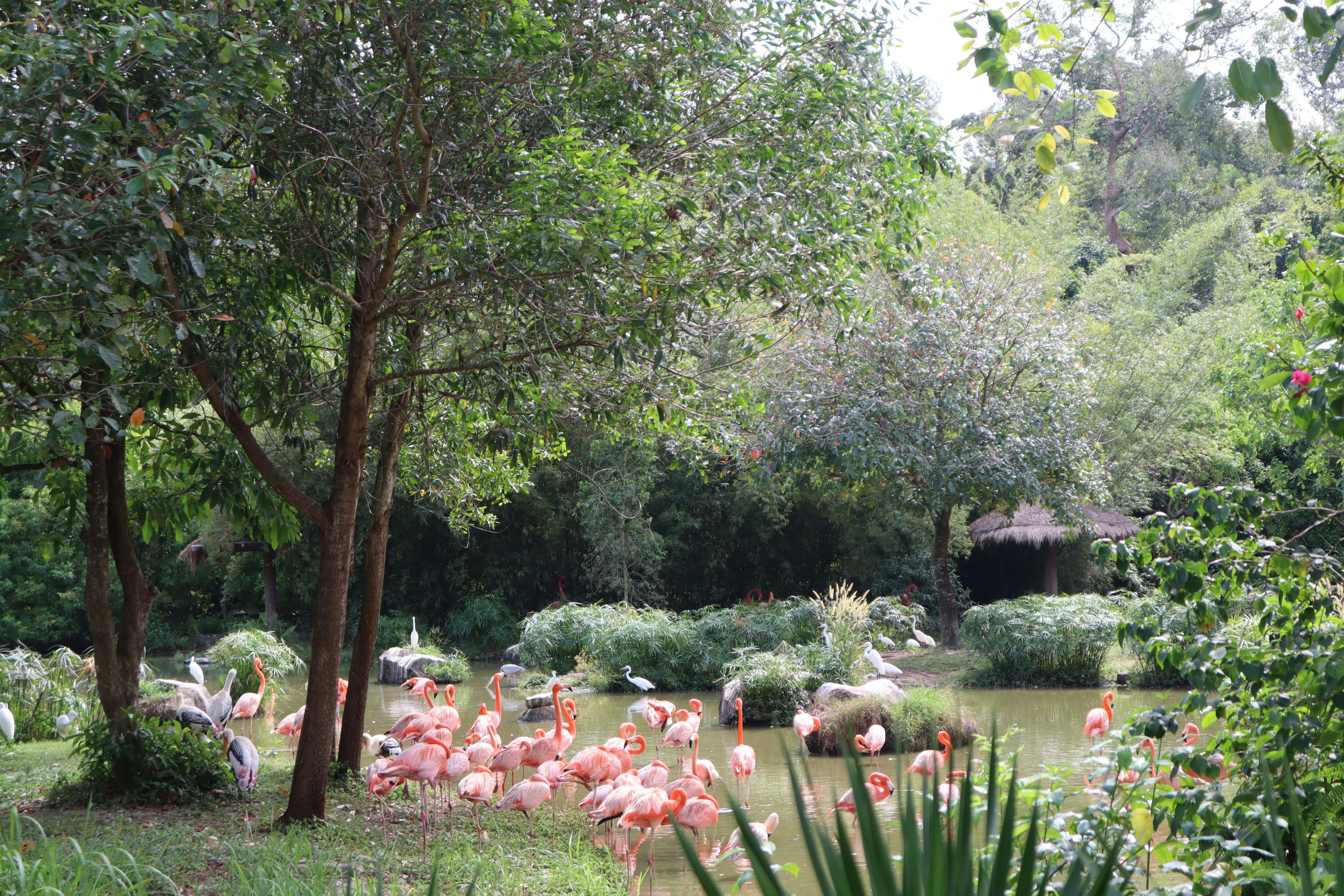 Pairi Daiza Zoo and Botanical Garden Brugelette Belgium