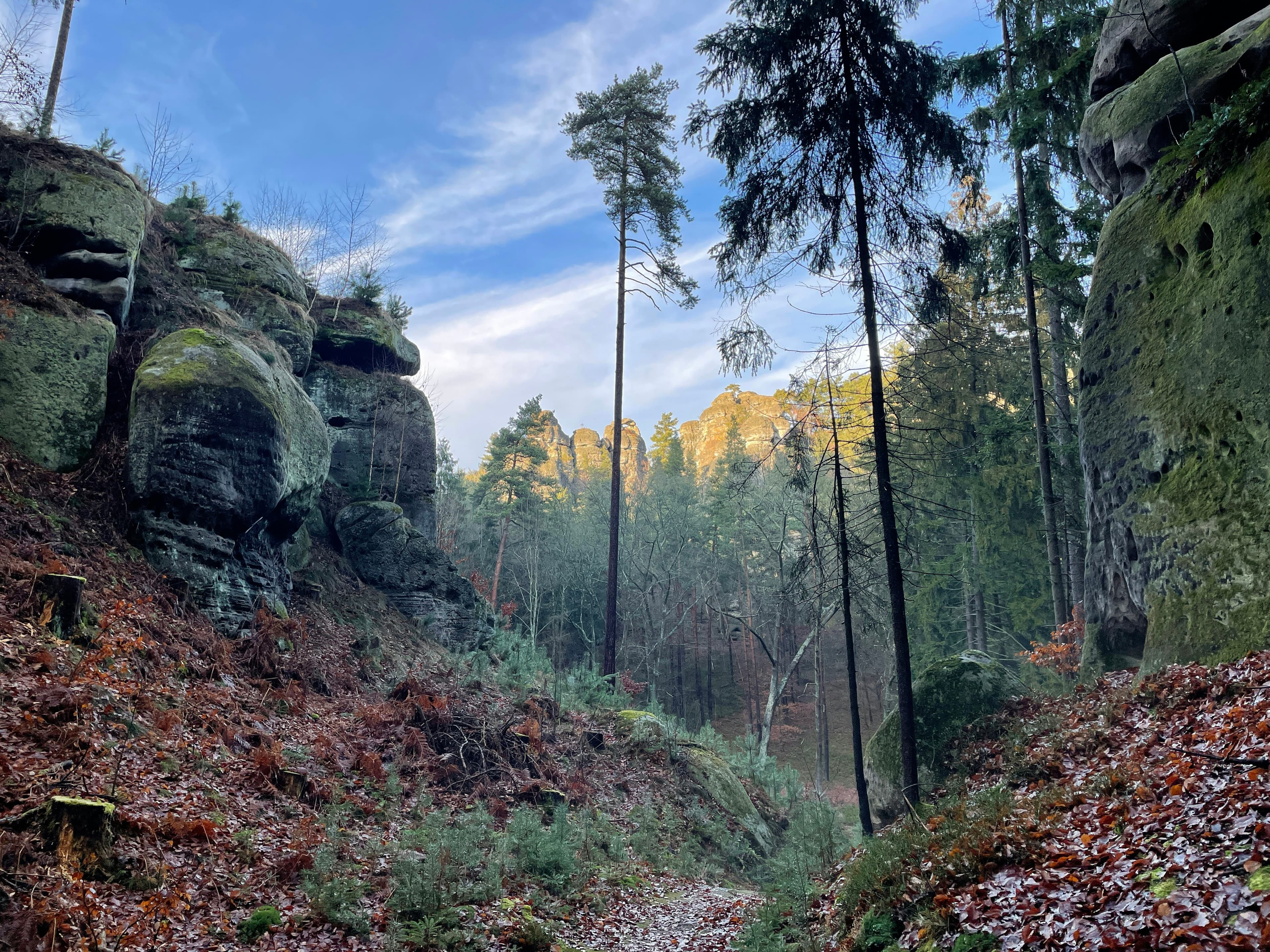 Harz National Park, Saxony-Anhalt, Germany