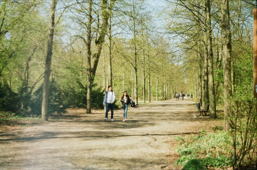Serene Nature Walks and Dog-Friendly Trails in The Hague's Haagse Bos Forest