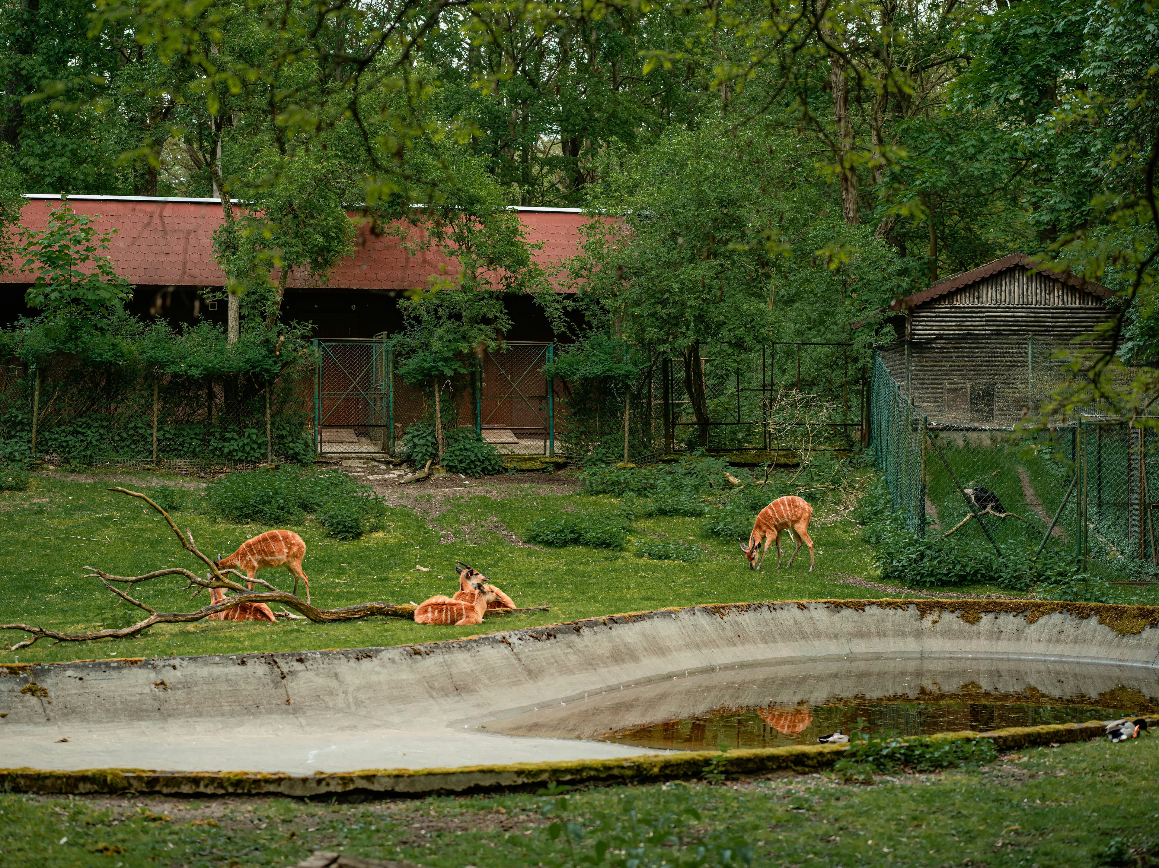 Enchanting Family Fun and Wildlife Encounters at Diergaarde Blijdorp Zoo in Rotterdam