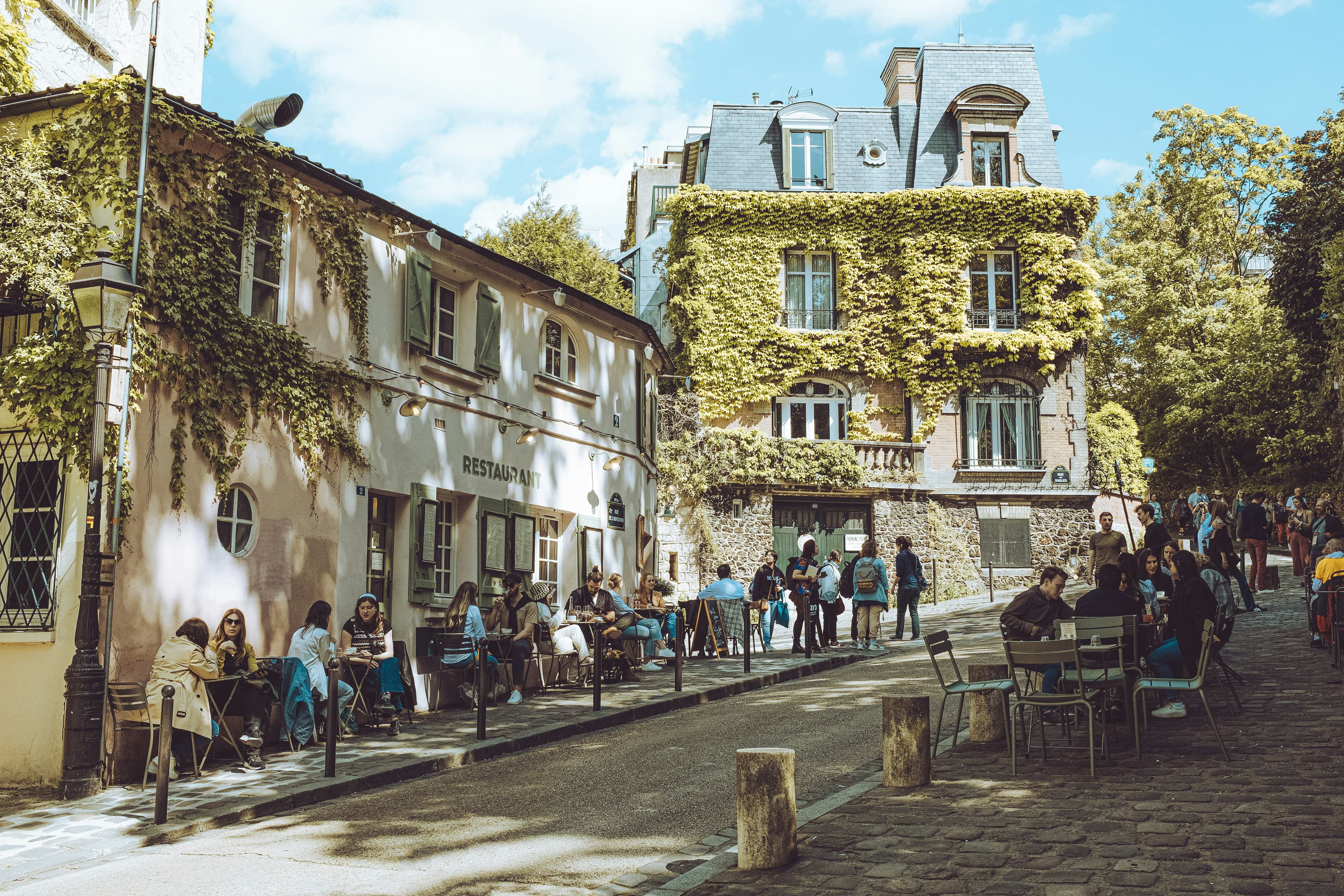 Scenic Dog-Friendly Riverside Walks and Cozy Cafés in Historic Tournon-sur-Rhône