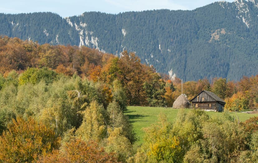 Scenic Hiking Trails and Tranquil Nature at Franconian Switzerland Nature Park