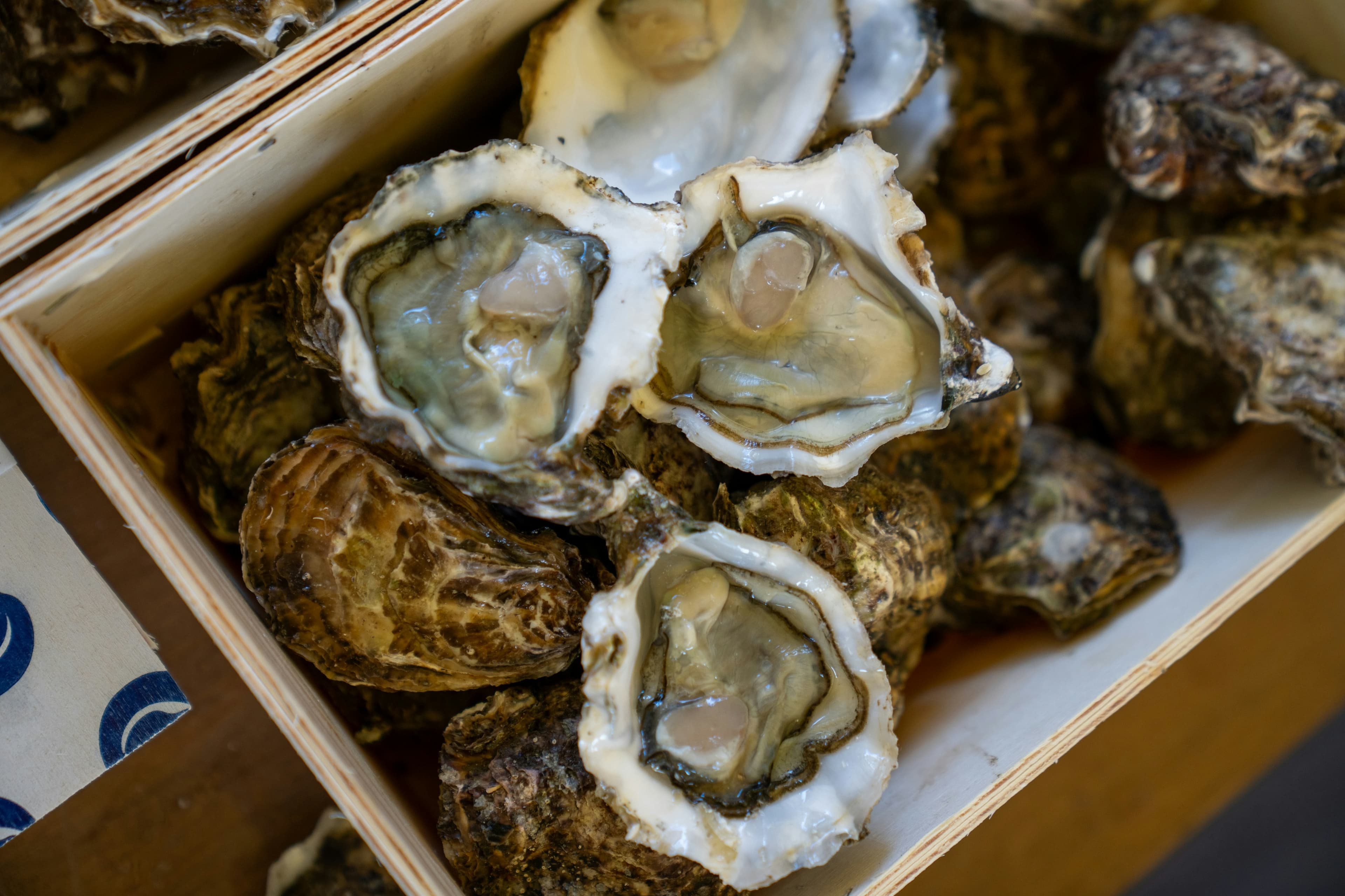 Savor Traditional Dutch Flavors at Yerseke's Renowned Oyster Farms