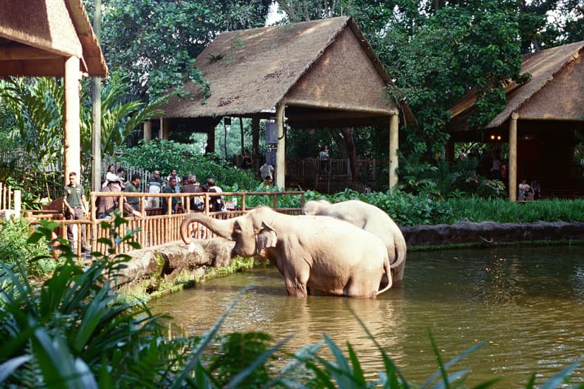 Immersive Family Wildlife Adventures at Dierenpark Emmen Zoo in the Netherlands